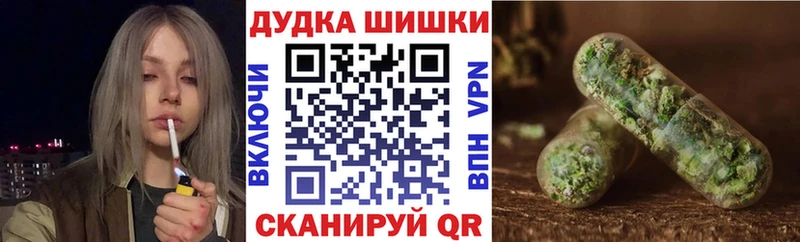 Конопля сатива  Вольск 